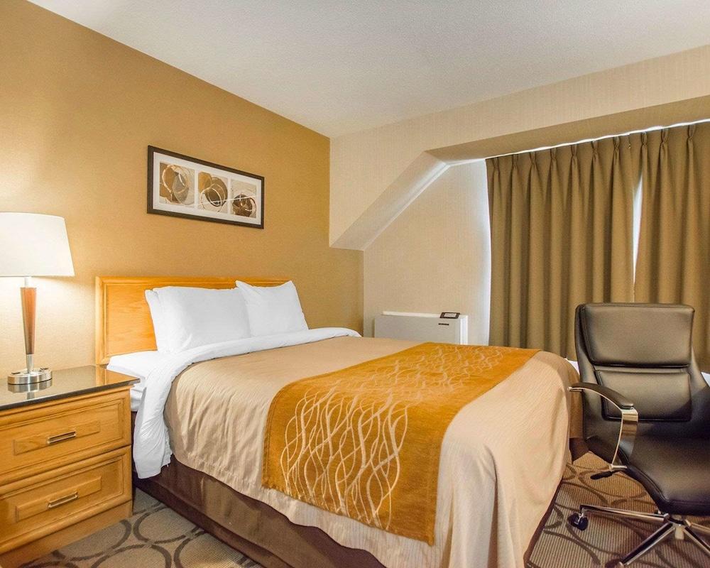 Comfort Inn Amherst