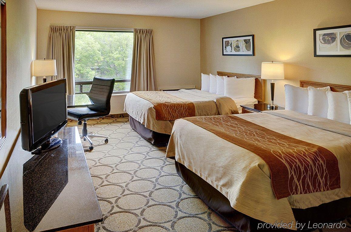 Comfort 3*