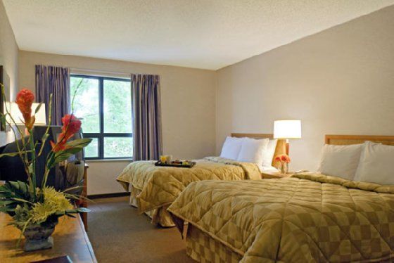 Comfort 3* Amherst