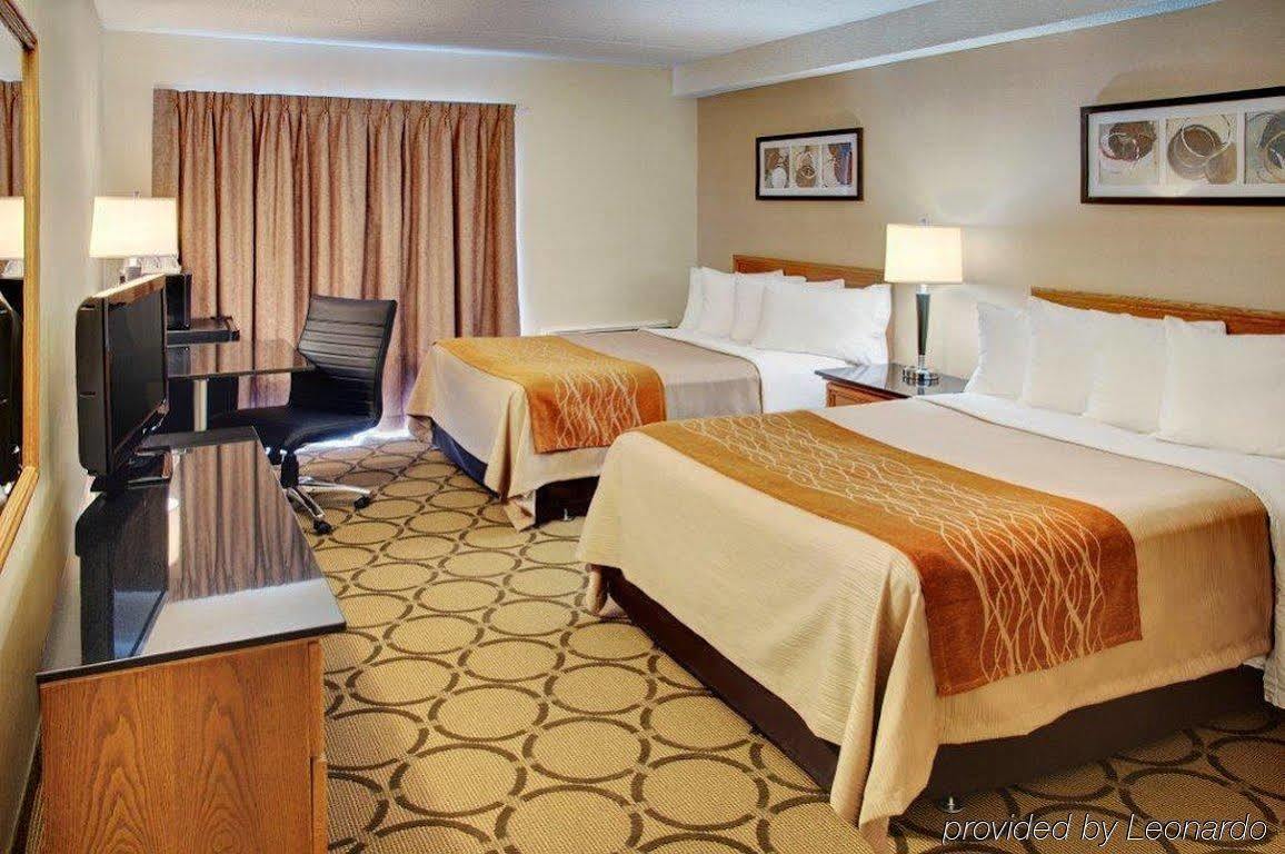 Comfort 3* Amherst